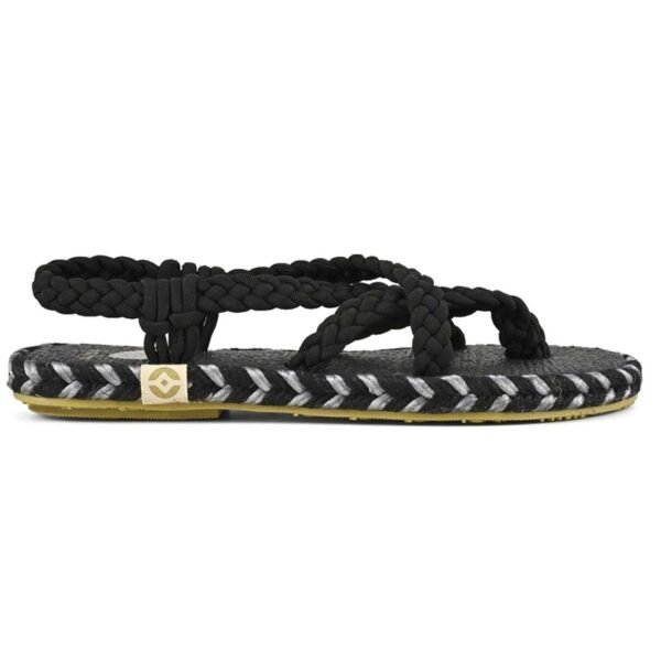 c9405ef0-4b19-11f0-ad1f-0385d99ea5c5.jpg c9405ef0-4b19-11f0-ad1f-0385d99ea5c5.jpg